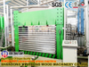 Modular aufgebaute Sperrholz-Heißpressmaschine mit geringem Platzbedarf und 10 Öffnungen 