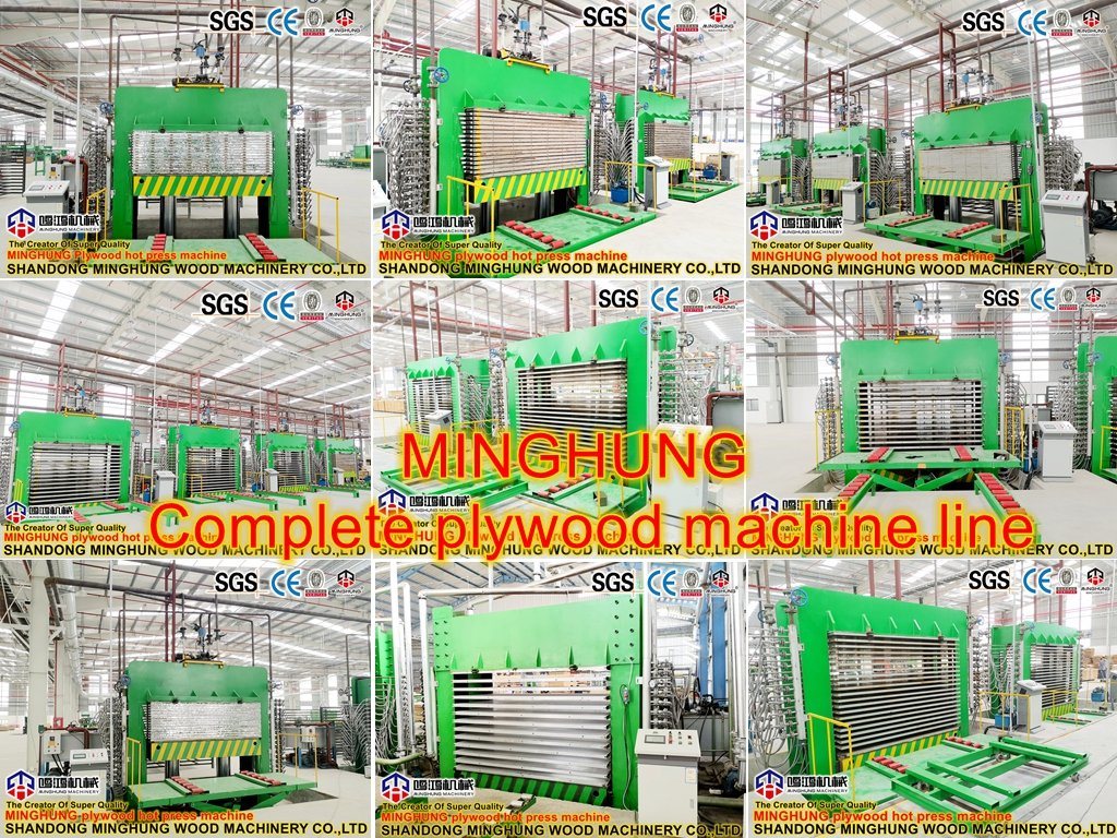 Sperrholz-Produktionsprozess-Fertigungsmaschine für Sperrholzhersteller