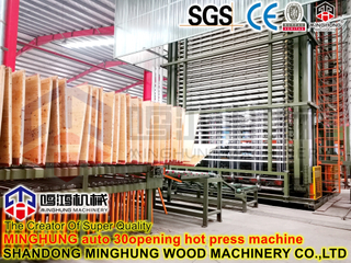 Hydraulische Pressmaschine Heißpressen für die Sperrholzherstellung