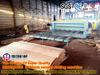 Spindelschälmaschine für max. Holzdurchmesser 1300 mm
