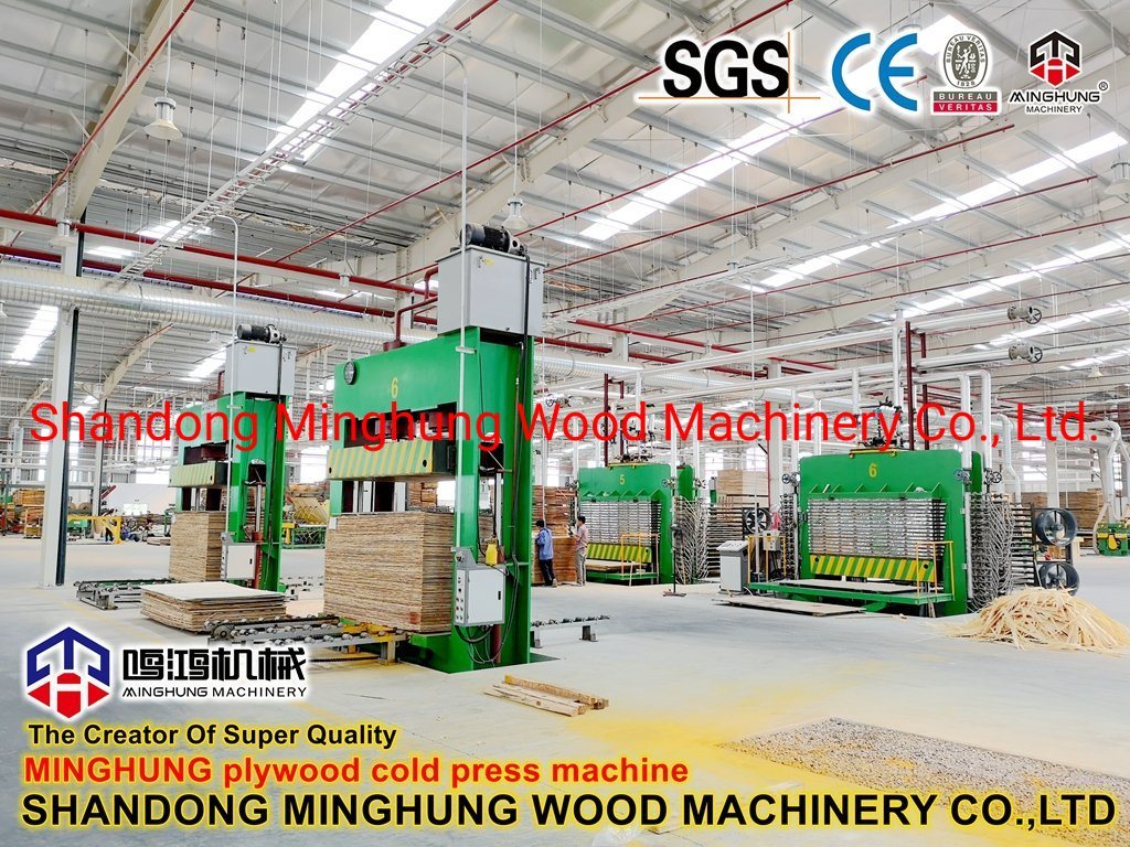 Sperrholz-Kaltpressmaschine für Sperrholz-Produktionsmaschine