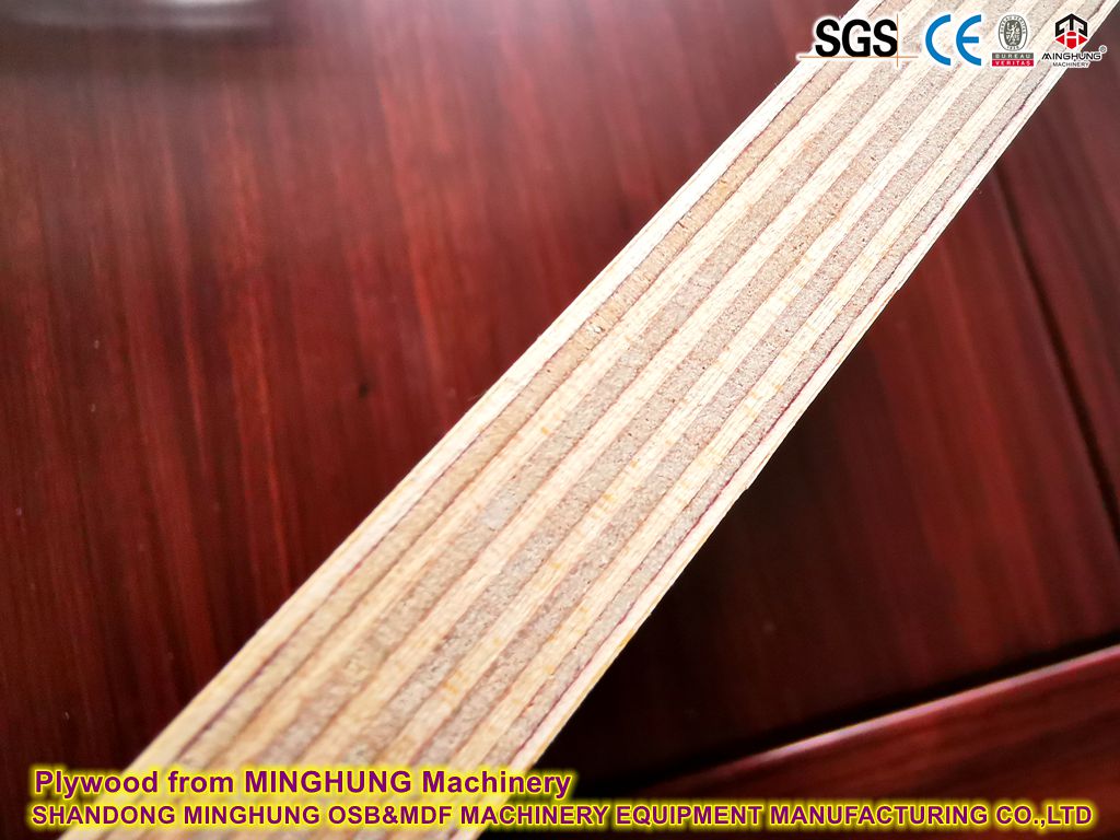 Sperrholz aus MINGHUNG Maschinerie