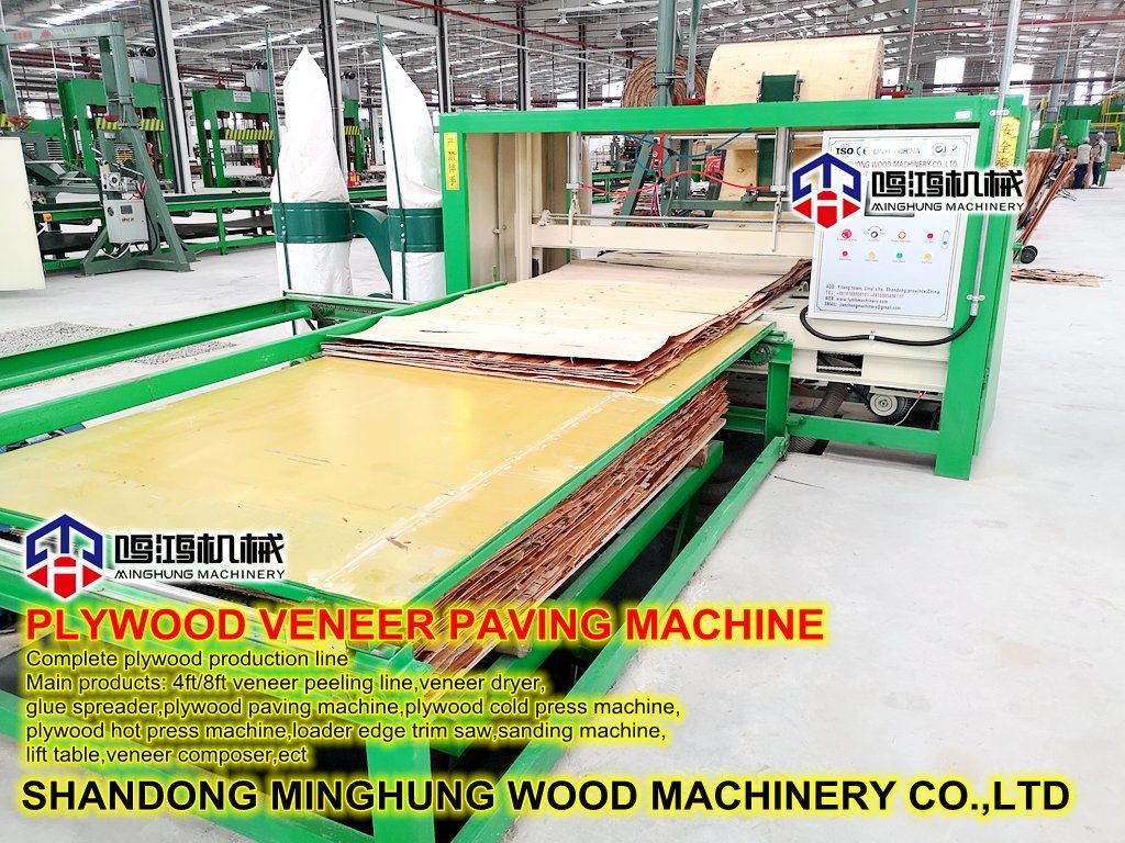 Automatisches Sperrholz, das Pflastermaschine für die Sperrholzherstellungsmaschine bildet