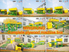 Post-Peeling-Furnier-Stapler, direktes Andocken, kein Transfer erforderlich