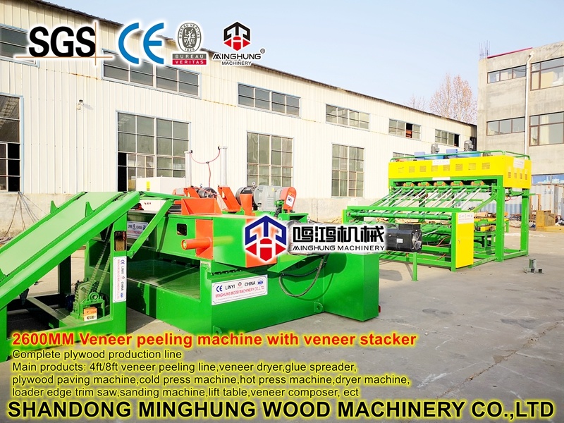 Holzbearbeitungsmaschine zur Herstellung von Holzfurnieren