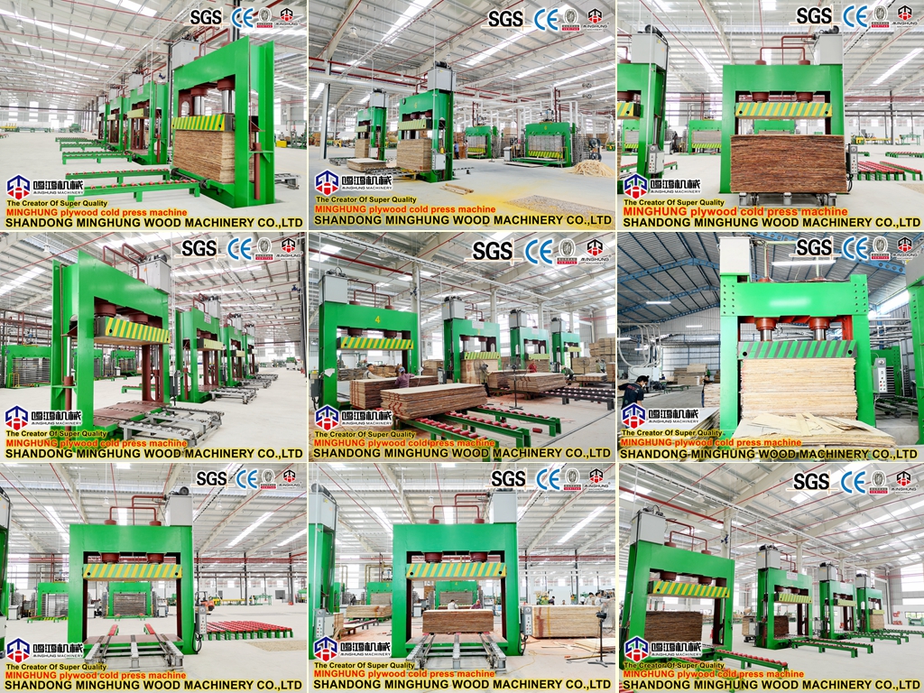 China-Sperrholzproduktionslinie für die Holz-, Papier- und Forstproduktindustrie