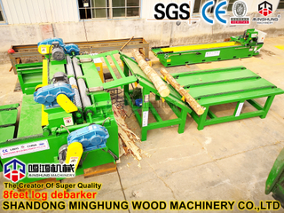 Schälmaschine für Birkenfurnier