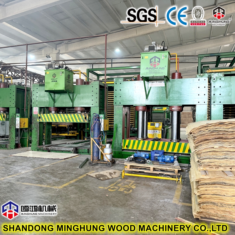 China MINGHUNG Sperrholz-Kaltpressung