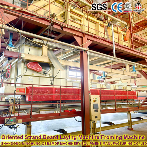 800 m³ tägliche OSB-Produktionslinie mit hoher Stabilität 1220x2440 mm