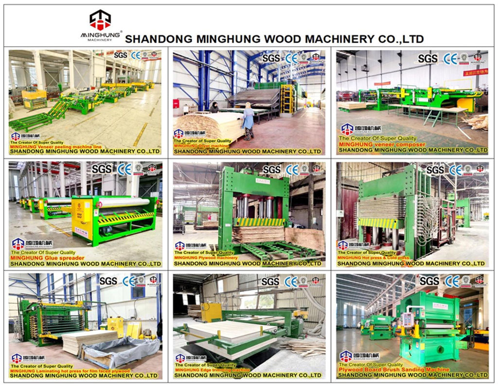 China Sperrholzmaschine (2)