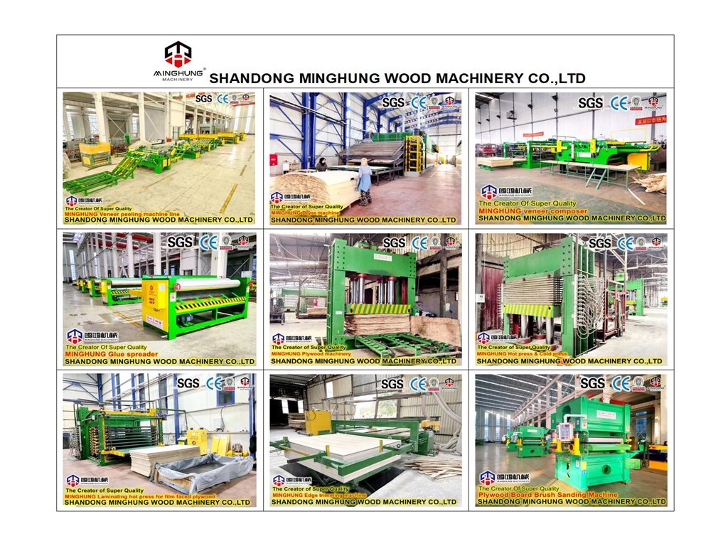 China Sperrholzmaschine (2)