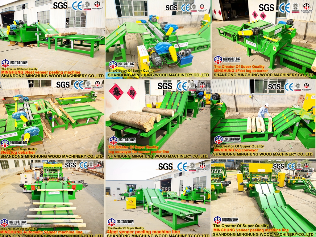 Die komplette Sperrholzherstellungsmaschine in China