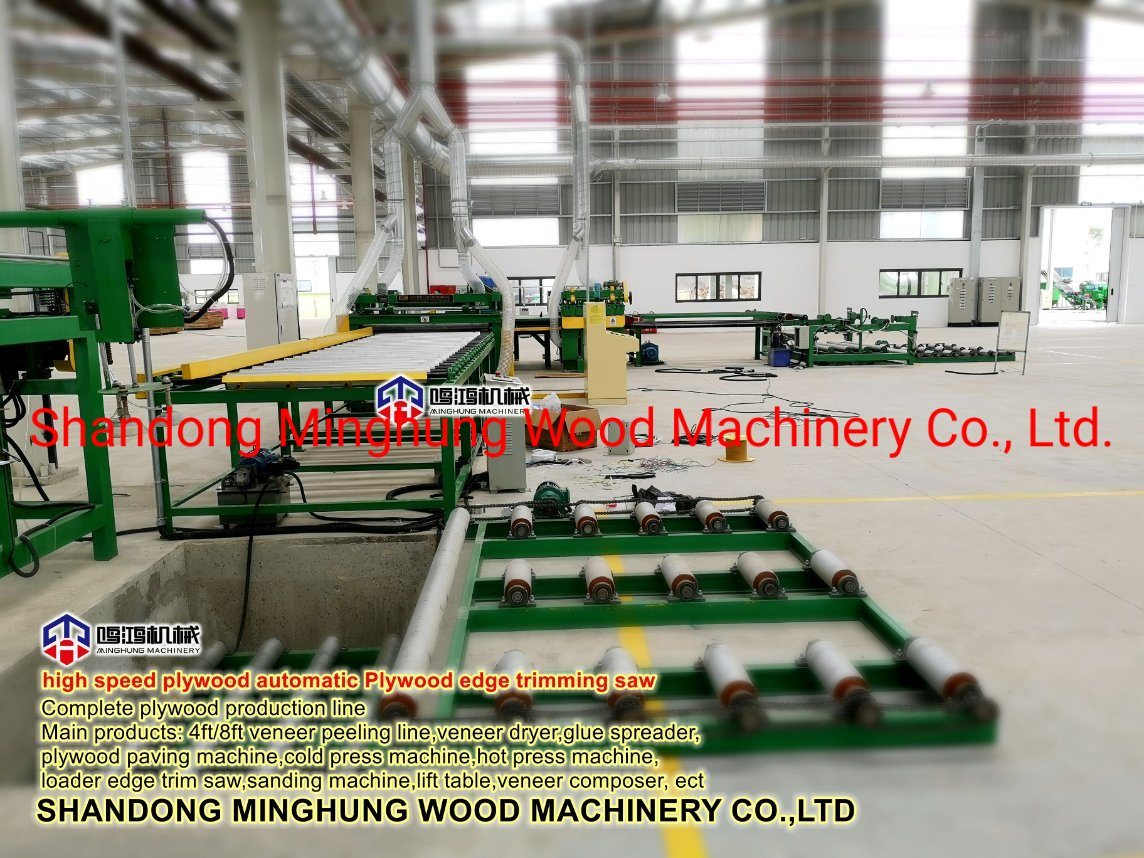 Holzbearbeitungsmaschinen Sperrholzsägemaschine