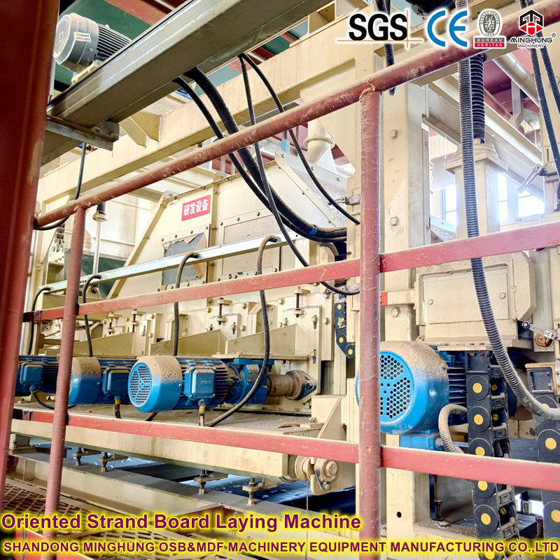 Ausgerichtete Strangplatine Legemaschine