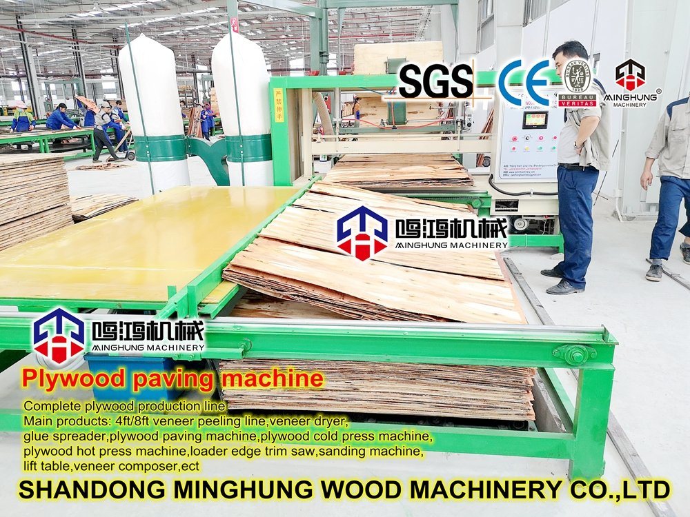 Holzmaschine zur Herstellung von Sperrholzplatten