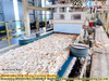 China OSB -Produktionslinie