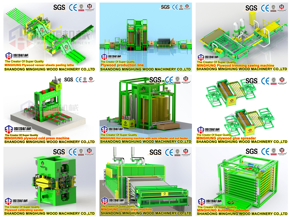 Produktionslinie für Sperrholz, ausgestattet mit einer doppelseitigen Schleifmaschine zur Dickenfixierung